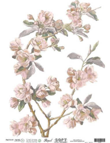 Papel de Arroz Soft 30x41cm. Decoupage PA0036