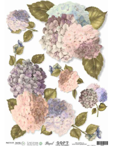 Papel de Arroz Soft 30x41cm. Decoupage PA0052