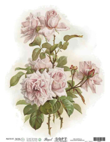 Papel de Arroz Soft 30x41cm. Decoupage PA0057