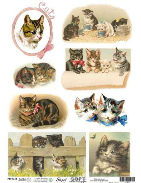 Papel de Arroz Soft 30x41cm. Decoupage PA0225