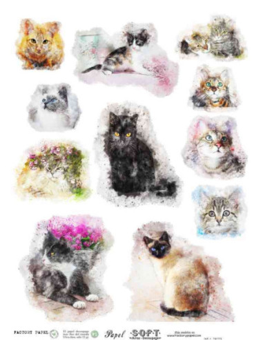 Papel de Arroz Soft 30x41cm. Decoupage PA3001