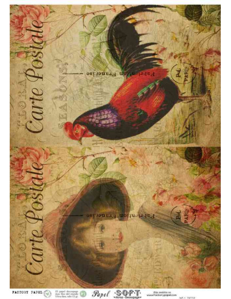 Papel de Arroz Soft 30x41cm. Decoupage PA3012