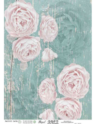 Papel de Arroz Soft 30x41cm. Decoupage PA3013