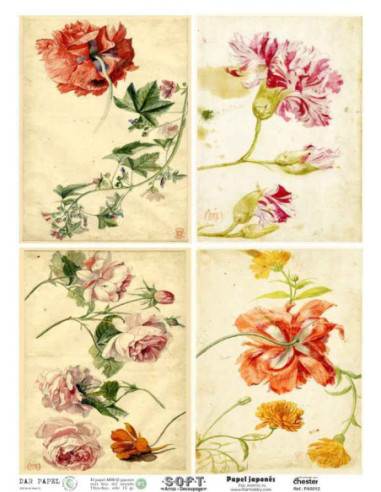 Papel de Arroz Soft 30x41cm. Decoupage PA5012