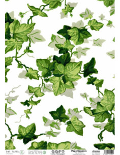 Papel de Arroz Soft 30x41cm. Decoupage PA5109