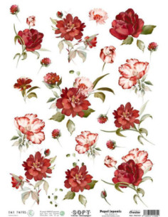 Papel de Arroz Soft 30x41cm. Decoupage PA5191