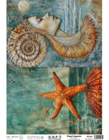 Papel de Arroz Soft 30x41cm. Decoupage PA5677