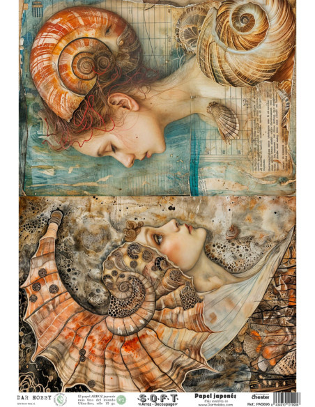 Papel de Arroz Soft 30x41cm. Decoupage PA5696